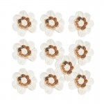 Odprt cvet iz shole - 10 kom